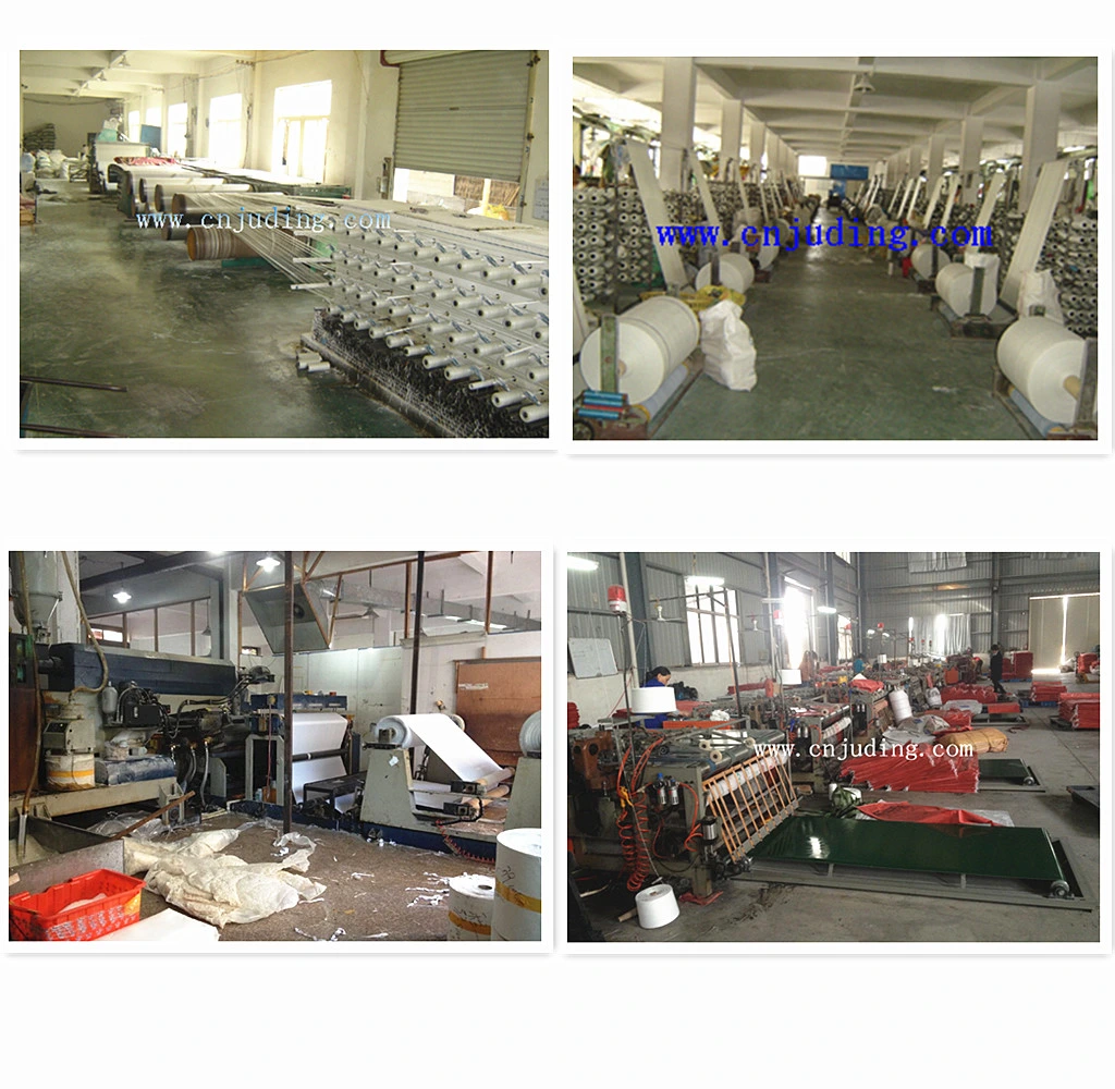 PP Woven Bag for Packing Animal Feed Rice Flour Potato